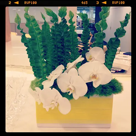 A yellow box with some white flowers in it