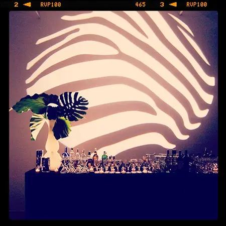 A palm tree and some leaves in front of a zebra pattern.